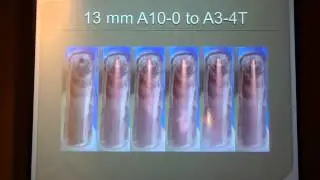 Naram 55 06 R&D Emma Kristal's high-speed video analysis of staging