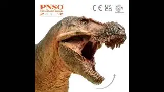 Nuevas figuras de PNSO ankylosaurus y zuchangtyrannus