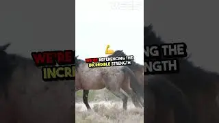 Horses  Nature's Hidden Powerhouse! #autoshorts #facts #facttuber #facttube #science #factscience