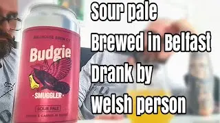 Bullhouse Brew Co - Budgie Smuggler sour pale