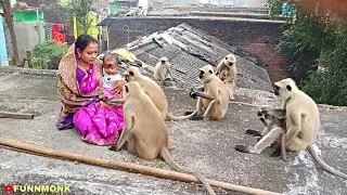 Woman feeding badam monkey that time so excited my daughter बंदर को देख के मेरी बची खुश हो गई