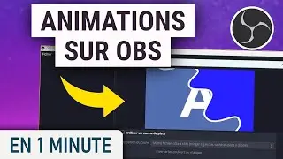 Add animations to OBS