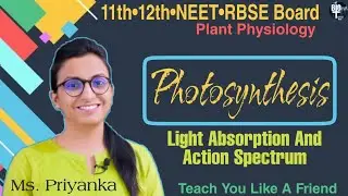 Light Absorption And Action Spectrum || Electro-Magnatic Spectrum || Photosynthesis ||