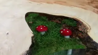 Столешница из слэба капового клена с грибами в смоле. Maple burl top with mushrooms in resin