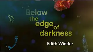 Edith Widder introduces Below the Edge of Darkness