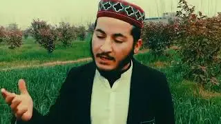 PASHTO NATT HAFIZ NUMAN BY NUMAN OFFICIAL