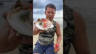 Verse Oesters Eten op het Strand! 🦪