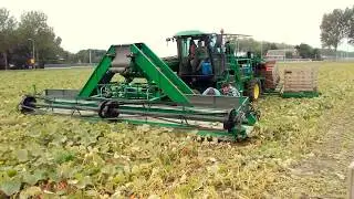Minty Bob pompoen oogstmachine at work