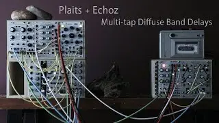 Plaits + Echoz + MATHS Ambient / Cassette Tape Mob of Emus Beads 2hp Arp