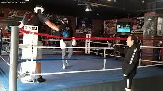 STEELEBOXER GYM ONLINE BOXING/KICKBOXING TRAINING PROGRAM www.steeleboxer.com