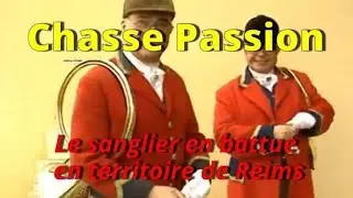 Chasse Passion : Le sanglier en battue en territoire de Reims