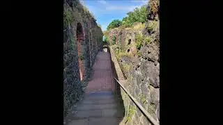 David Shire - Salsation ---------------------------------------------- Kaiserpfalz Kaiserswerth