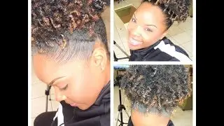 4C HAIR : Best High Puff / Sleek Edges Tutorial on DRY 4c Natural Hair