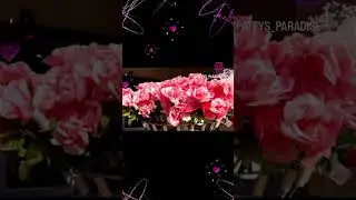 DOLLAR TREE VALENTINE&rsquo;S & SPRING TIME FUN #shorts #new #dollartree