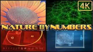 ⁴ᴷ NATURE BY NUMBERS ⁴ᴷ