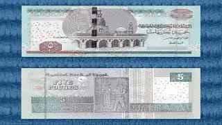 🇪🇬 2014-2024 5 Arab Republic of Egypt Pounds Standard Circulation Banknote