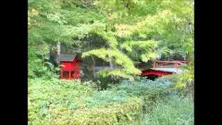 Japan Trip - 07 (Ankokuji)