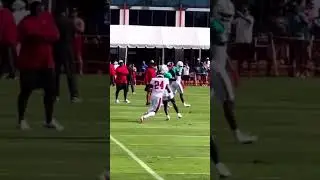 Tyreek Hill vs Carlton Davis 1v1! Dolphins vs Bucs Training Camp!