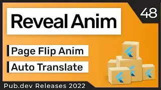 Flutter Reveal on Scroll, Page Flip Animation & Co. - 48 - PUB.DEV RELEASES 2022
