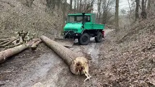 UNIMOG 417 working in forest