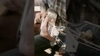 Dobro Resonator Slide Guitar Lick 28 #deltablues  #rawblues  #resonatorguitar