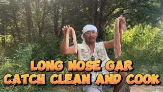 Long nose gar, catch clean and cook