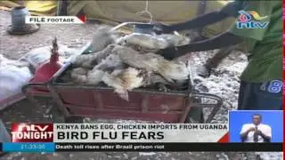Bird flu fears as Kenya bans egg, chicken imports from Uganda