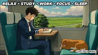 LoFi Chill Beats 📚 Music to Study, Focus & Relax NO ADS