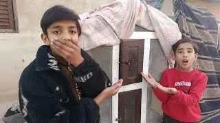 Cage Ka Gate Open Reh Gaya 😲 | Totay Bach Gaye