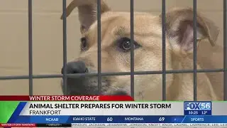 Frankfort animal shelter offers to help pet owners during winter storm