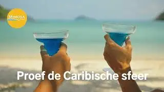 Curacao vakantie nu extra voordelig.