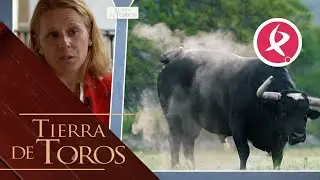 Los hierros que sueñan las grandes plazas | Tierra de Toros
