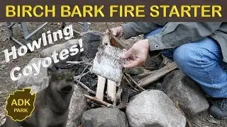 STARTING A FIRE with BIRCH BARK