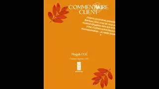 Commentaire client BAMBOOJU
