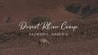 Desert Rhino Camp &ndash; Pioneering Namibian Rhino Conservation