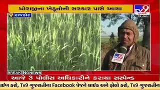 Farmers in Rajkot demand state government to buy Wheat at support price | TV9GujaratiNews