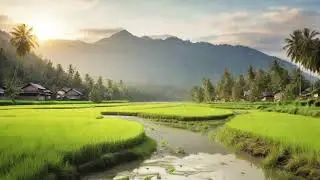 The traditional instrument from sundanese ❤ Relaxation vibes release your stress