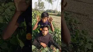 টিয়া পাখি ধরার গোপন ফাঁদ #birdsounds #comedy #birds #pakhi #trap