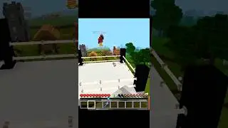 #minecraft fox Vs chicken