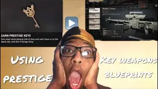 I used the Prestige Weapons Blueprints in Call of Duty: Cold War
