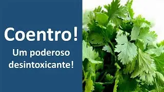 Coentro, um poderoso desintoxicante! | Dr. Marco Menelau