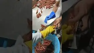 Amazing Red prawns #coconutfoodies #shorts