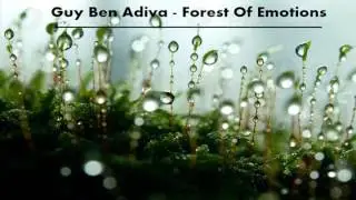 Guy Ben Adiva - Forest of Emotions