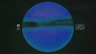 Foreign Air - Night At The Zoo (Official Audio)