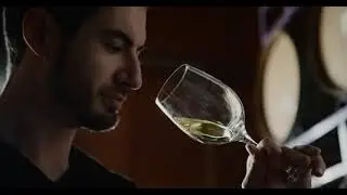 Raeburn Winery | Brand Film
