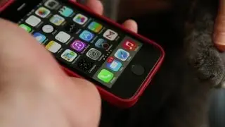 iPhone 5s Cat's Paw Test | TechCrunch