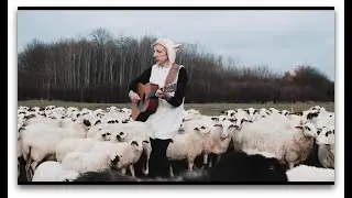 William Wahl  - Alle Tiere im Stall (M&auml;h'n und sie muh'n)
