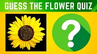 Do You Know the Most Popular Flowers? | Guess the Flower Quiz
