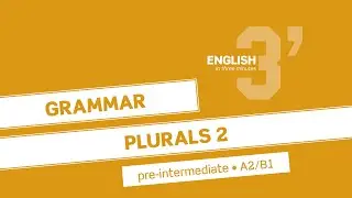 Pre-Intermediate Grammar: Plurals 2 (A2/B1)