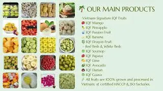 VIETNAM IQF FROZEN FRUITS &ndash; FULL RANGE FOR EXPORT